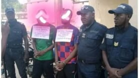Un réseau de trafiquants démantelé à Moulvoudaye : Découvrez les détails de cette opération policière déterminante !