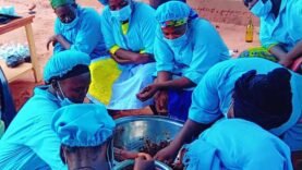 Révélation surprenante : Comment le néré au Mandoul transforme l&rsquo;avenir des jeunes et pourquoi vous devez en parler !