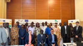 Révolution du Lac Tchad : Les coulisses du COPIL du projet PETRADEP qui pourraient changer votre regard sur la résilience ! Découvrez l&rsquo;indispensable !