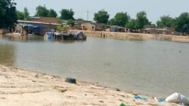 Drame à Walia : Découverte d’un Nouveau-né dans un Bassin de Rétention – Les Détails Inconnus qui Changent Tout
