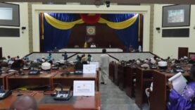 Approbation Historique : L&rsquo;Ordre National des Sages-Femmes et Maïeuticiens du Tchad Enfin Créé – Découvrez les Implications Aujourd&rsquo;hui