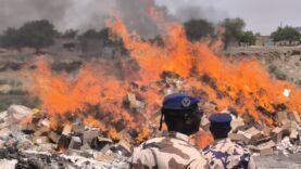 Tchad : Destruction de 72 Tonnes de Produits Illicites à N&rsquo;Djamena : Les Détails Essentiels à Connaître