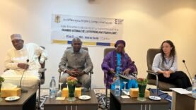 Tchad : Avancées Cruciales dans l’Entrepreneuriat Féminin — Tout Ce Que Vous Devez Savoir Aujourd’hui