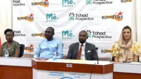 Tchad sous les eaux : Vers une résilience collective face aux inondations – Ce que vous devez savoir dès maintenant