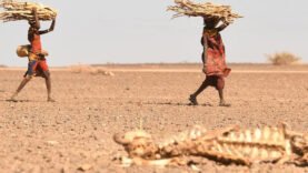 L&rsquo;Afrique : Épicentre Persistant de l&rsquo;Extrême Pauvreté Mondiale – Découvertes Essentielles d&rsquo;Aujourd&rsquo;hui