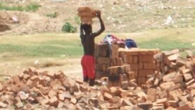 138 Millions d&rsquo;Enfants Sous le Joug du Travail Forcé en 2024 : Les Chiffres Choc de l&rsquo;OIT et UNICEF