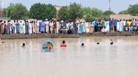 Drame à N&rsquo;Djaména : Trois enfants se noient tragiquement, le Ministère de l&rsquo;Action Sociale réagit – Découvrez la vérité cachée derrière cette tragédie !