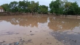Les Secrets du Quartier Dourssoungo à Maroua : Pourquoi les Inondations Cachent des Histoires Incroyables !
