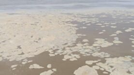 À la découverte de la Révélation Écologique : Comment le Fleuve Batha Transforme la Vie des Riverains – Ce Que Vous Ignoriez Peut Tout Changer !