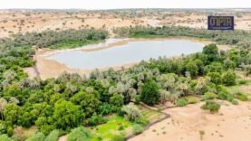 Voyagez à Mao : Découvrez la ville blanche du Kanem et ses secrets cachés qui vous surprendront !
