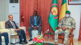 Pourquoi l&rsquo;Égypte soutient-elle le Mali et l&rsquo;AES ? Découvrez les secrets derrière cette alliance inattendue !