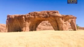Évasion en Nature : Les Mystères Cachés du Parc National de Taï – Ce Que Les Guides Ne Vous Révèlent Pas !