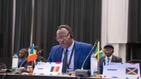 Participation Surprise du Tchad à la Réunion Mondiale sur les PME à Johannesburg : Les Secrets Inattendus Révélés !