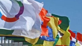 Les Mystères de la Francophonie Exposés : Pourquoi les Affrontements Frontaliers Cambodge-Thaïlande Pourraient Changer Tout!