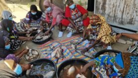 Découvrez l&rsquo;Atelier de Transformation du Poisson : L&rsquo;Empowerment des Jeunes, Femmes et Réfugiés Révélé!