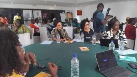 Diversité et Politiques Publiques au Tchad : Les Secrets de l&rsquo;Intégration du Genre Dévoilés