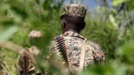 RDC : Attaque Dévastatrice par les ADF – Découvrez ce Que Personne n’Ose Révéler