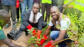 L&rsquo;ATPAD Plante à Sokolo : Découvrez l&rsquo;Impact Caché de cette Initiative Inattendue