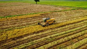 Les Secrets Révélés : Participation Surprenante de la BAD à l’Inauguration de la Zone Spéciale Agro-Industrielle d’Oyo