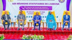 Tchad : N&rsquo;Djamena au cœur des discussions de l&rsquo;ASECNA – Découvrez les secrets cachés derrière ces réunions essentielles !