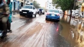 Paris et les Mystères de l&rsquo;OEGCI 2025 : Pourquoi cette ville s&rsquo;impose parmi les dernières géantes du monde, et ce que vous n&rsquo;avez jamais entendu !