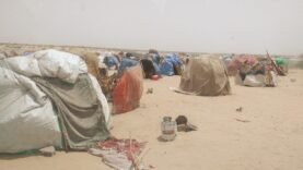 Dans l&rsquo;ombre de Dar-es-Salaam : Les secrets troublants d&rsquo;un camp méconnu que vous ne soupçonniez pas !