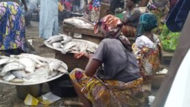 21 Millions d&rsquo;Habitants à Nourrir : Les Secrets Insoupçonnés de la Sécurité Alimentaire Révélés !