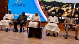 Tchad – Découvrez le projet révolutionnaire « Jeunesse Emploi-Vert » pour l&rsquo;agriculture durable : Les secrets qui pourraient transformer l&rsquo;avenir !
