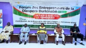 Burkina Faso – La diaspora Burkinabè et la révolution agricole : Découvrez les secrets que vous ignorez!