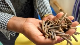 Inauguration d&rsquo;une Unité Innovante en Nutrition Animale et Production d&rsquo;Engrais : Découvrez les Secrets Qui Vont Révolutionner votre Agriculture!