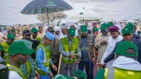 Tchad : Révolution Verte dans le Kanem – Tout ce que Vous Ignorez sur la Semaine Nationale de l&rsquo;Arbre !