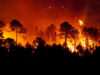 incendies-foret.jpg