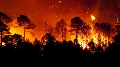 incendies-foret.jpg