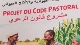 Révolution Digitale ou Crise Inattendue ? Le Grand Défi des Données : Ce que tout le monde ignore (mais qui pourrait tout changer)