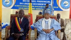 Découverte exclusive : Les révélations marquantes de la première session ordinaire du comité provincial du Logone Occidental !