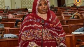 Tchad : Les Députés Valident une Commission Spéciale pour Réviser la Constitution – Découvrez les Secrets Bien Gardés derrière cette Décision !