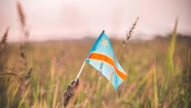 Ressources critiques en RDC : Comment cette nation pourrait révolutionner son industrialisation – Les secrets que vous ignorez !