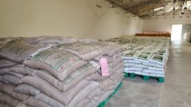 Tout ce que vous devez savoir sur la nouvelle opération de vente subventionnée de denrées alimentaires à Mao : Les secrets révélés qui pourraient faire toute la différence !