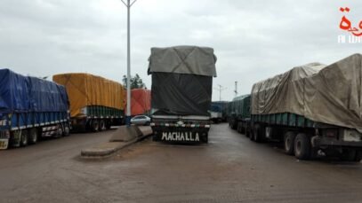 91236578-64173029.jpg