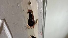 Révélations choc sur l&rsquo;intrusion au COST : Accusations, clarifications judiciaires et secrets inavoués de N&rsquo;Djamena que vous ne pouvez pas ignorer !