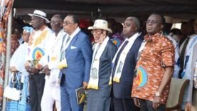 Révélations surprenantes sur le lancement de la campagne présidentielle du RDPC à Yaoundé : Ce que vous ne soupçonniez pas!