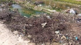 Catastrophe environnementale à N’Djaména : Les eaux stagnantes cachent un danger mortel que vous ignorez !