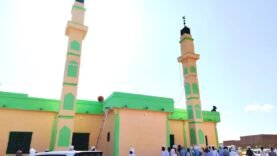 Ouverture de la Mosquée Ahbab Al Moustapha à Abéché : Découvrez les Secrets Inattendus de cet Événement!
