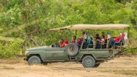 Tourisme Durable : Comment l&rsquo;Éducation Environnementale Révolutionne les Parcs Nationaux – Découvrez les Secrets Inavoués qui Attirent des Millions de Visiteurs !
