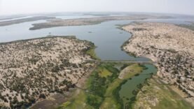 Énergie Solaire et Révolution Écologique : Découvrez comment le Tchad transforme son avenir avec des solutions inattendues !