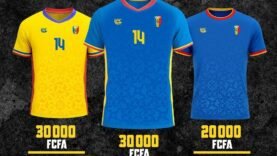 Les internautes dénoncent le prix exorbitant des maillots des SAO : un débat sur l&rsquo;accessibilité des vêtements sportifs s&rsquo;intensifie.