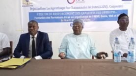 Formation à Doba : un tremplin pour l&rsquo;autonomisation des jeunes avec le projet ALAPAJ