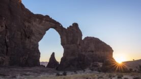 Le gouvernement et African Parks renforcent leur collaboration pour préserver la biodiversité.