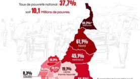 Pauvreté au Cameroun : des disparités inquiétantes entre régions menacent le développement local