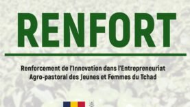Appels à candidatures : rejoignez-nous pour des postes clés en audit et agroécologie
